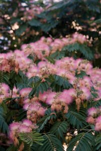 Mediterranean landscape photograph capturing light, silence and coastal atmosphere. From the series ‘Mediterranean’ by Balša Gobović.
