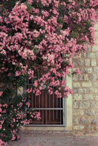 Mediterranean landscape photograph capturing light, silence and coastal atmosphere. From the series ‘Mediterranean’ by Balša Gobović.