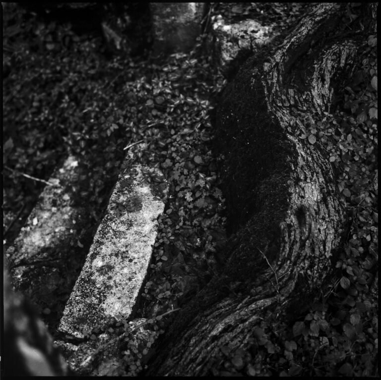 Pinhole Prints (positive)