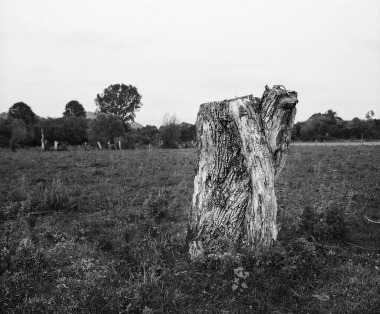 Conceptual fine art photograph exploring passage, distortion, and the visual metaphor of transition. From the series ‘Funel’ by Balša Gobović.