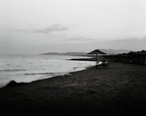 Fine art photograph of Mediterranean wildflowers in soft natural light, exploring impermanence and quiet transformation. From the series ‘Ephemeral Bloom’ by Balša Gobović.