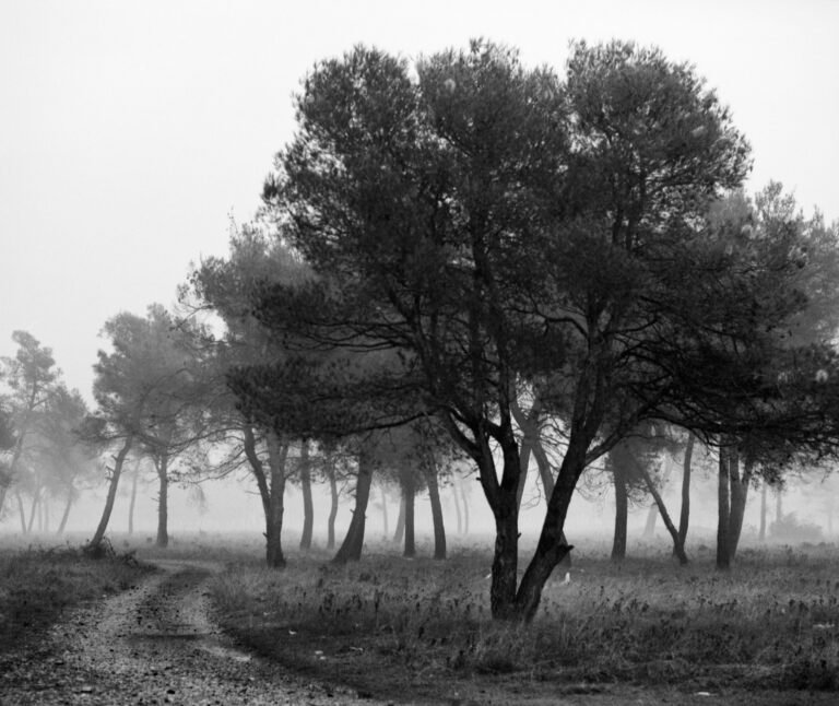 Conceptual fine art photograph exploring passage, distortion, and the visual metaphor of transition. From the series ‘Funel’ by Balša Gobović.