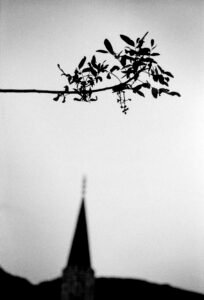 Mediterranean landscape photograph capturing light, silence and coastal atmosphere. From the series ‘Mediterranean’ by Balša Gobović.