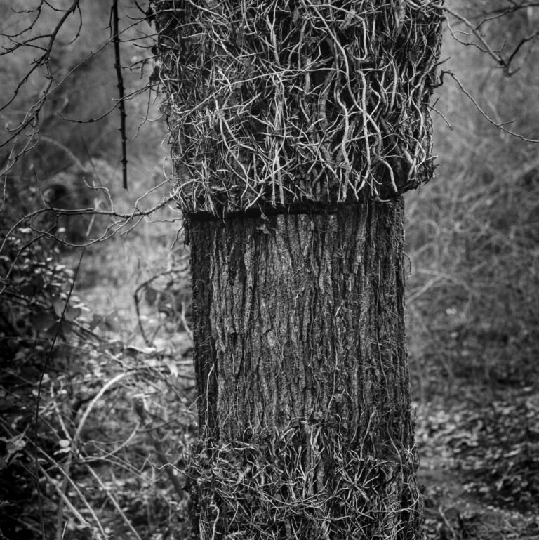 Conceptual fine art photograph exploring passage, distortion, and the visual metaphor of transition. From the series ‘Funel’ by Balša Gobović.