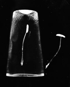 Essentials_Photogram