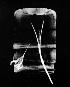 Essentials_Photogram