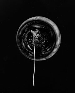 Essentials_Photogram