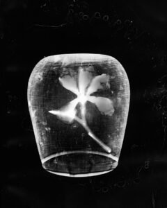 Essentials_Photogram