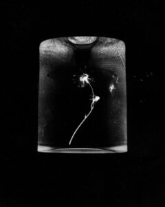 Essentials_Photogram
