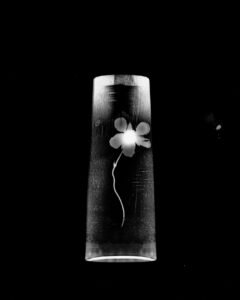 Essentials_Photogram