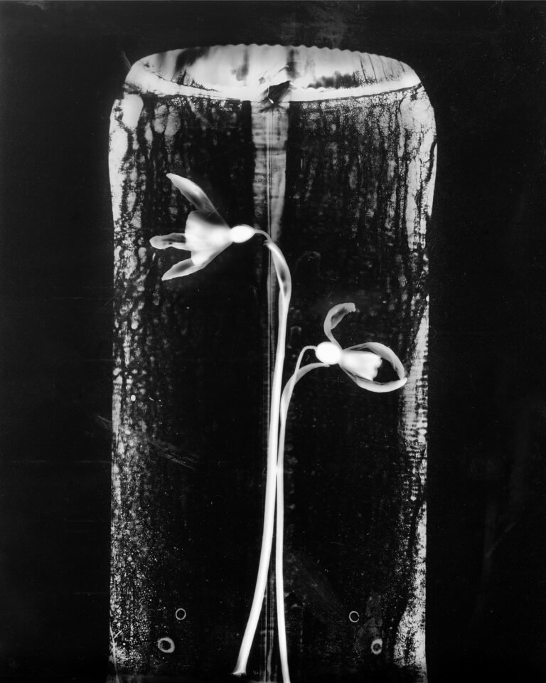 Essentials_Photogram